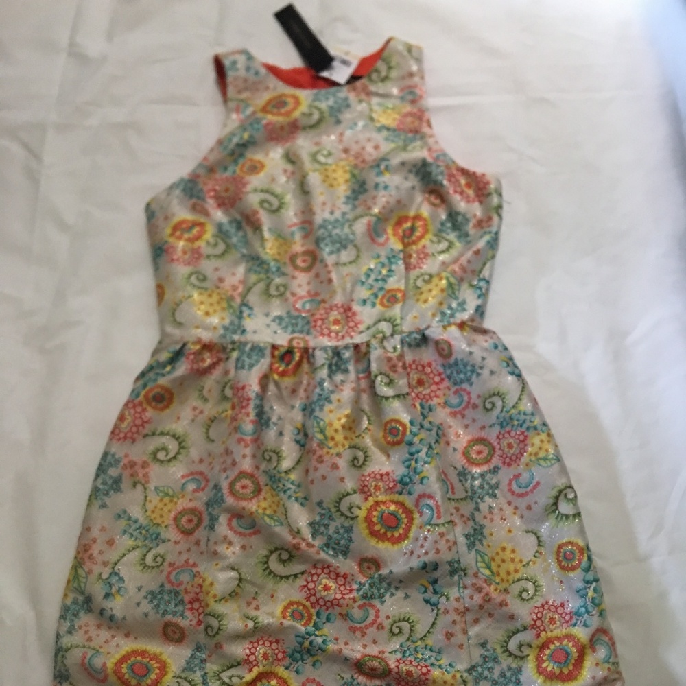 SOLD Anthropologie Cynthia Steffe Dress, NWT, sz 2